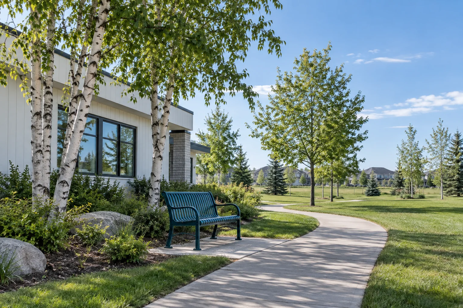 Illustrative prairie-community walkway with a teal bench and birch trees.