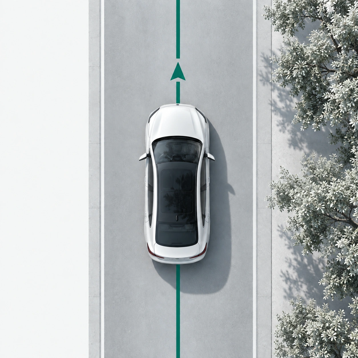 Illustrative overhead view of a white car following a teal route beside silvery trees.
